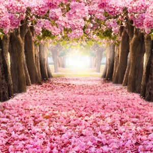 Meet your Posher, Pamela i.